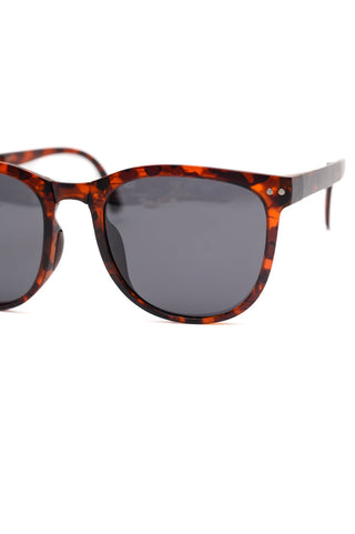 Collapsible Girlfriend Sunnies & Case in Tortoise Shell-OS-[option4]-[option5]-[option6]-[option7]-[option8]-Womens-Clothing-Shop