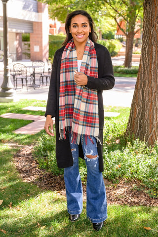 Soft As Can Be Traditional Plaid Scarf-OS-[option4]-[option5]-[option6]-[option7]-[option8]-Womens-Clothing-Shop